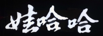 娃哈哈二代立體燈